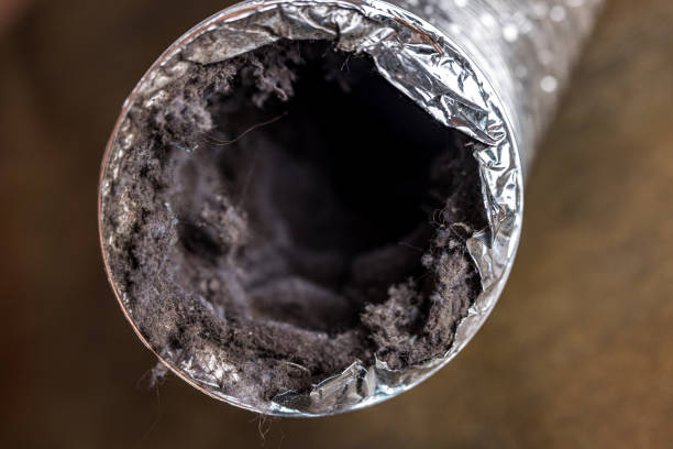 Best Affordable Air Duct Cleaning  in Mustang, OK