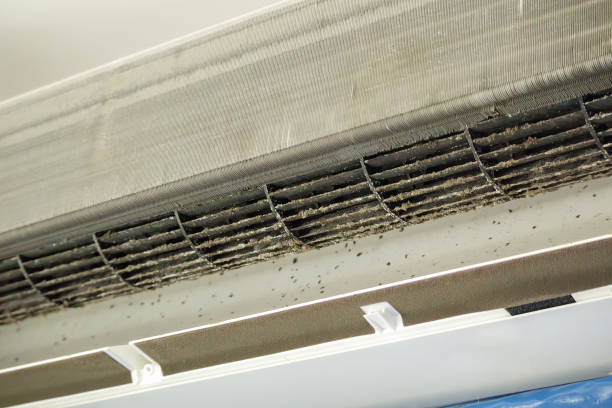 Best Duct Cleaning for Offices  in Mustang, OK